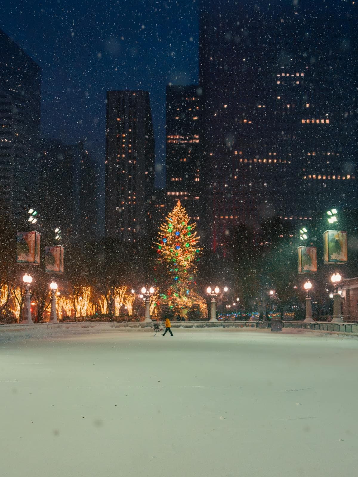 Downtown Holiday Lighting